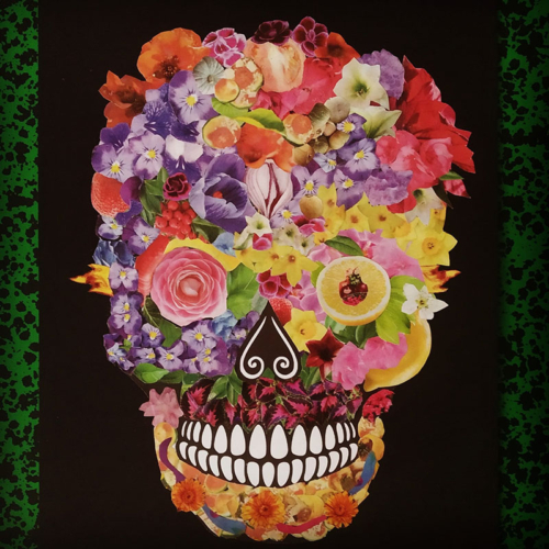 calavera E02kb57XIAAtcmT